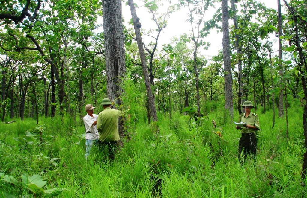 Bảo vệ đất lâm nghiệp nhằm duy trì giá trị của rừng