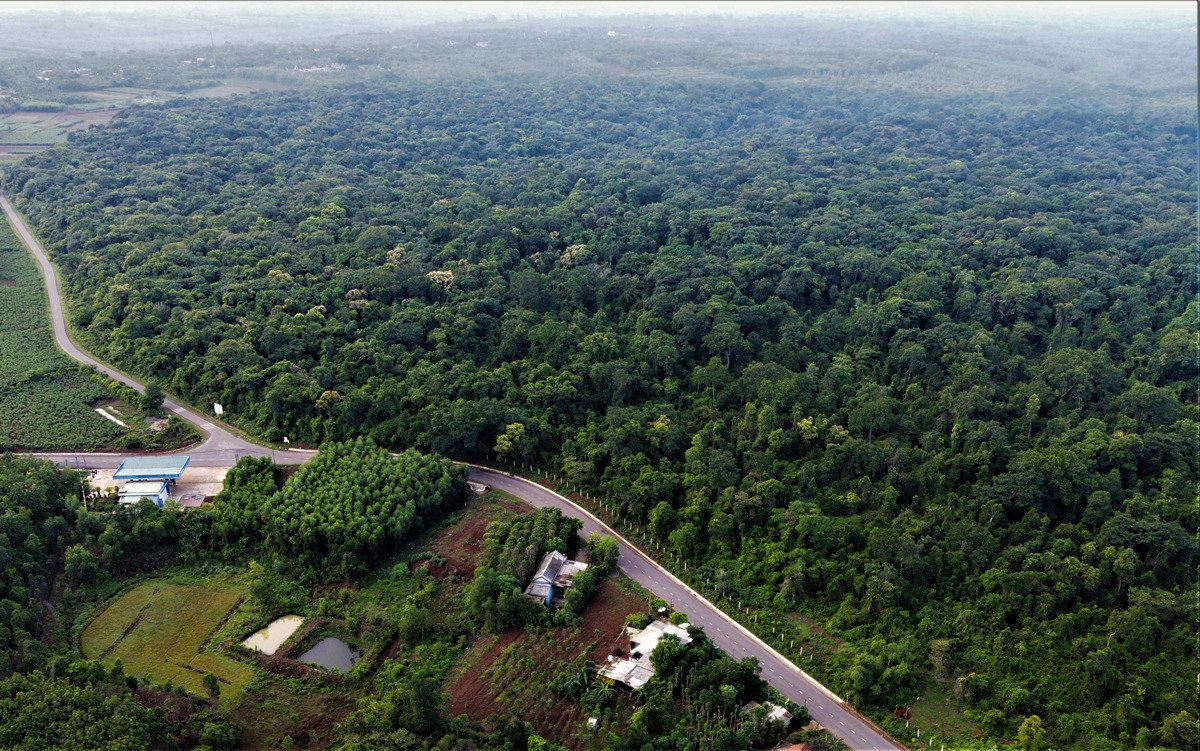 Phát triển và bảo vệ rừng quốc gia được ưu tiên hàng đầu 