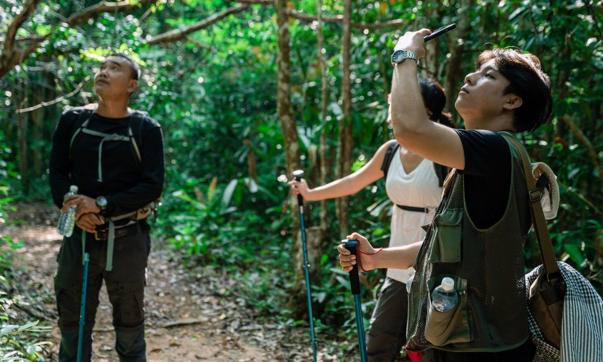 Trekking rừng quốc gia là hoạt động thu hút nhiều du khách