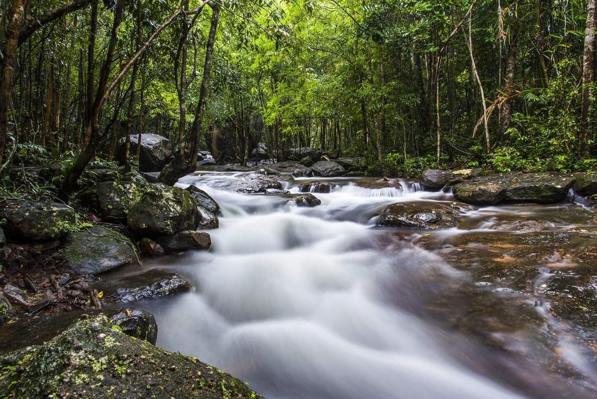 Khám phá các thác nước, suối tuyệt đẹp tại rừng
