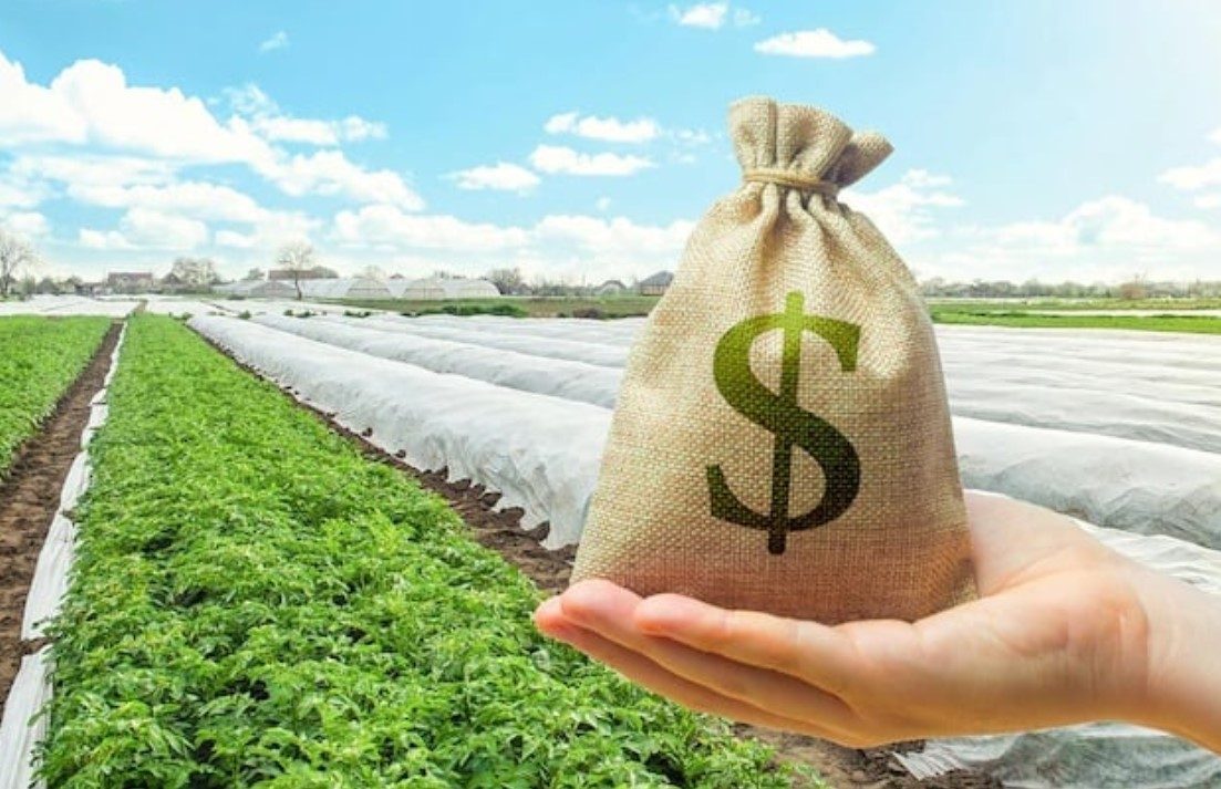 Giá bán đất nông nghiệp 50 năm có nhiều mức giá phù hợp với đa dạng ngân sách người mua