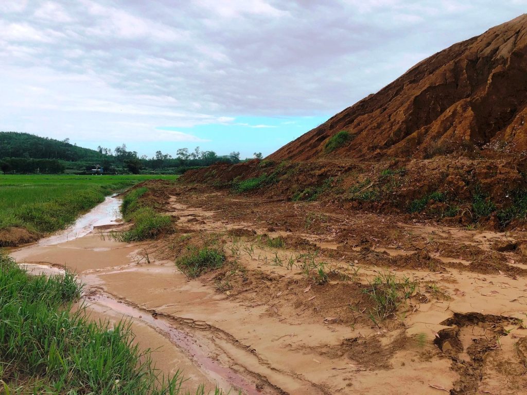 Đất phù sa có nhiều chất dinh dưỡng tốt để phát triển cây trồng